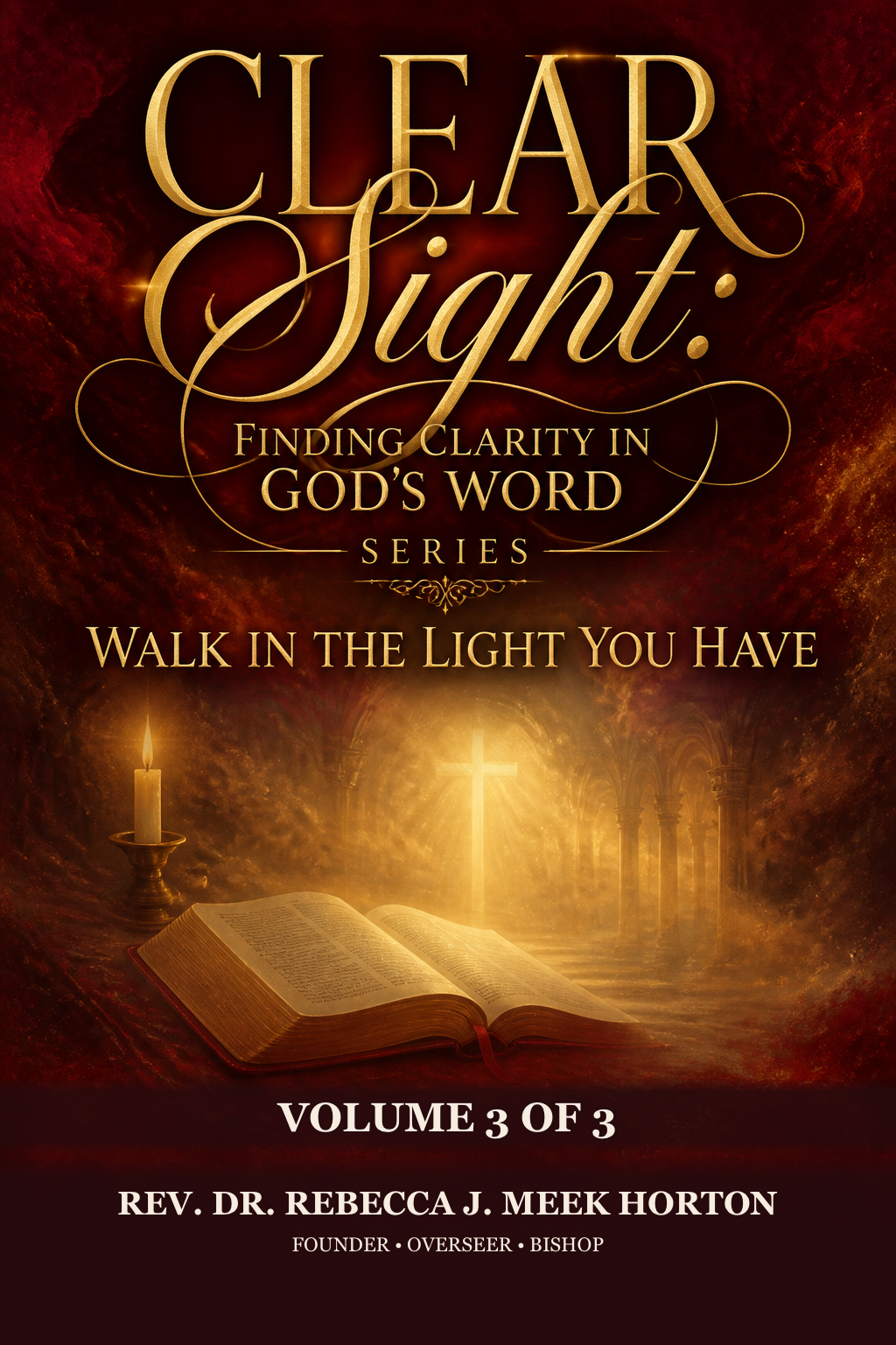 Cover of Walk in the Light You Have — Its Companion Devotional/Journal